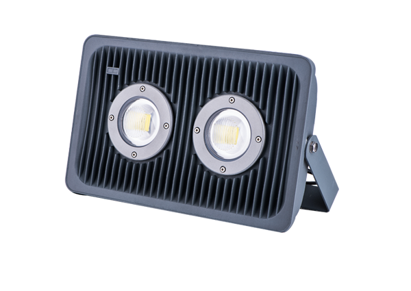Flood Light Series-YYF-06-100W