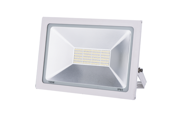 Flood Light Series-YYF-10-100W